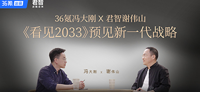 36氪冯大刚x君智谢伟山：看见2033，预见新一代战略