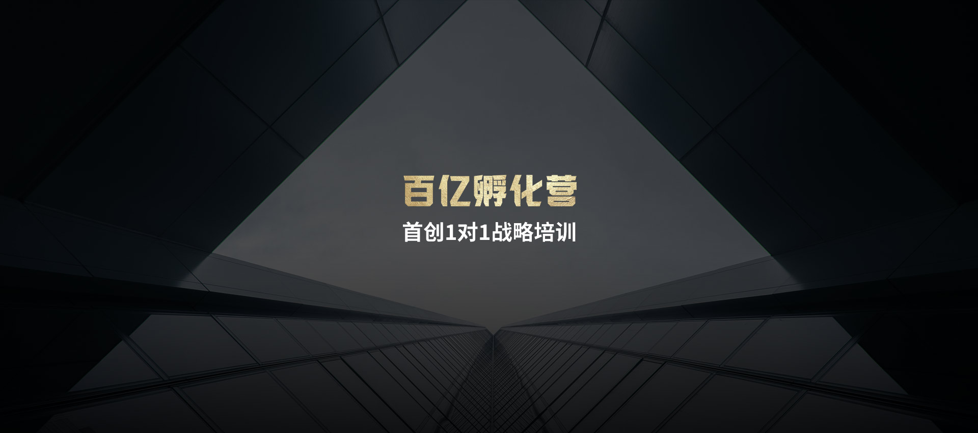 百亿孵化营